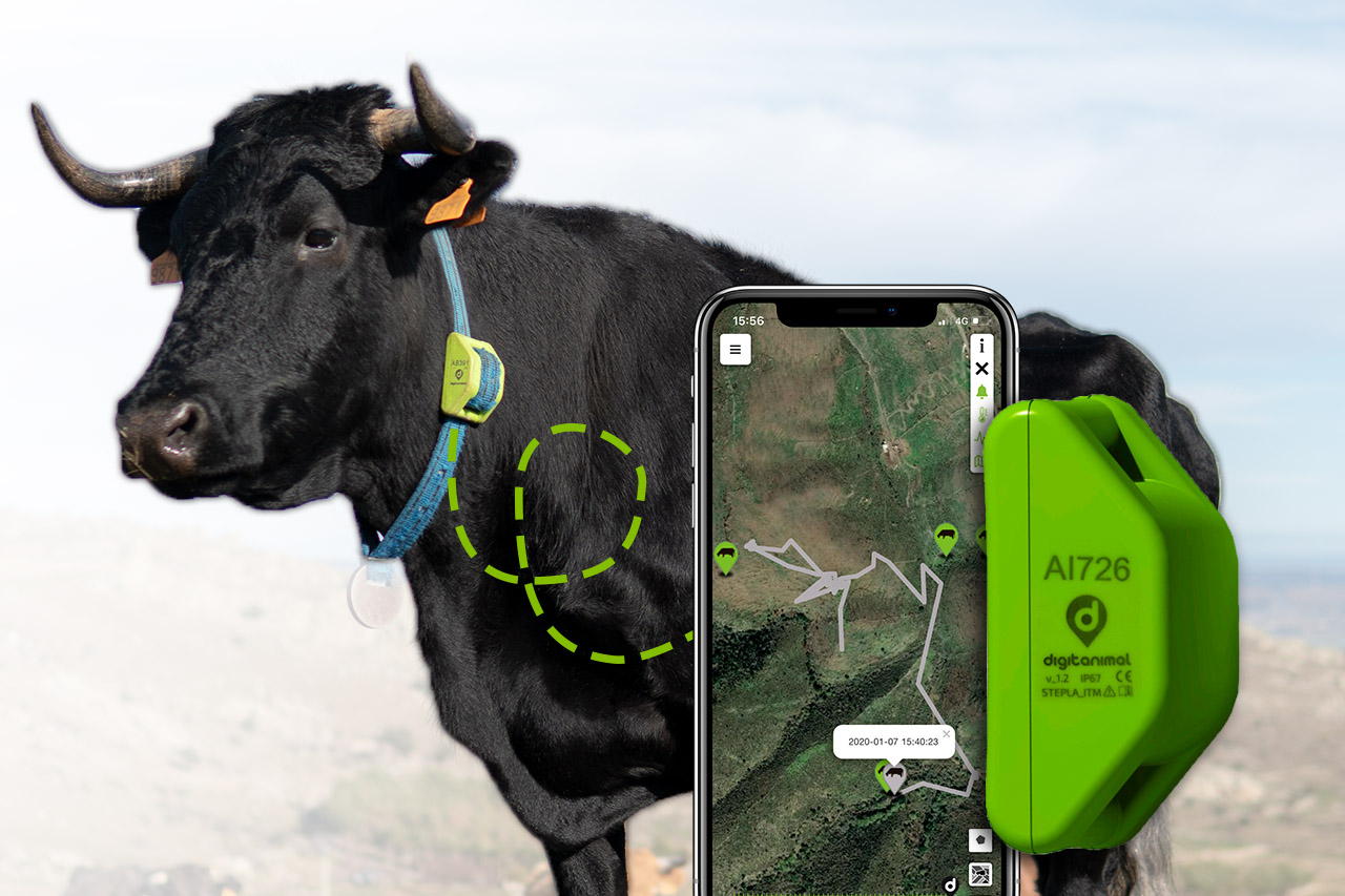 GPS Livestock Trackers